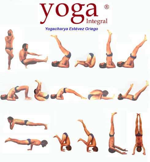 Yoga Nogal