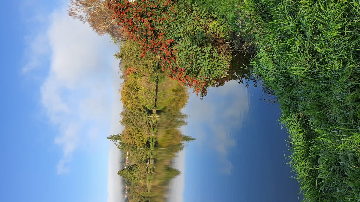 Photo — L'automne des bonnes décisions : choisissez le bien-être !